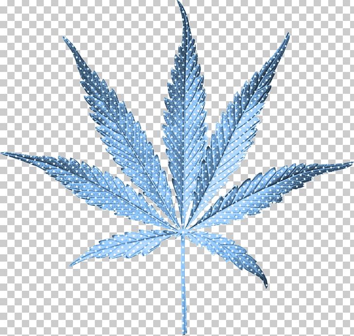 United States Cannabis Smoking Legality Of Cannabis Medical Cannabis PNG, Clipart, Brain, Cannabidiol, Cannabis, Cannabis Smoking, Drug Free PNG Download