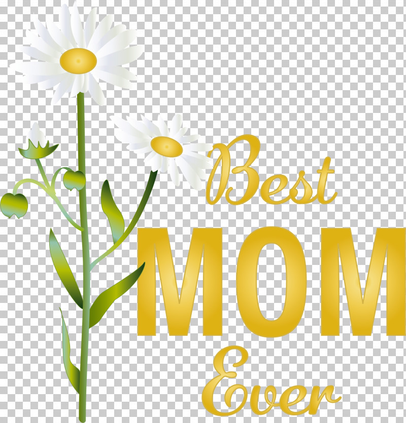 Floral Design PNG, Clipart, Buttonhole, Chamomile, Chrysanthemum, Common Daisy, Cut Flowers Free PNG Download