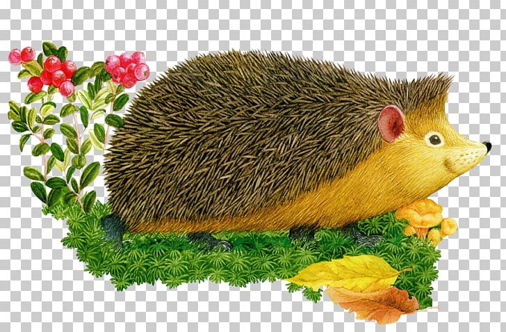 European Hedgehog Drawing Cartoon PNG, Clipart, Animal, Cartoon, Child, Domesticated Hedgehog, Dormouse Free PNG Download