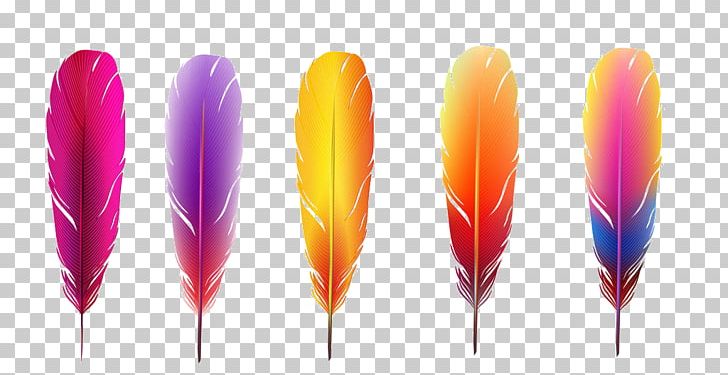 Feather Color PNG, Clipart, Animals, Art, Color, Download, Feather Free PNG Download