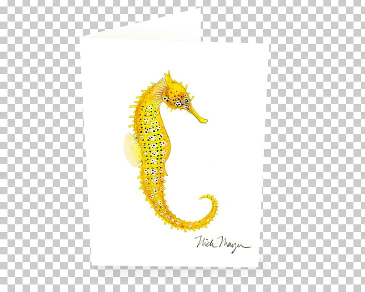 Pacific Seahorse Big-belly Seahorse Yellow Seahorse Leafy Seadragon Syngnathidae PNG, Clipart, Animal, Big Belly Seahorse, Bigbelly Seahorse, Electric Ray, Fish Free PNG Download