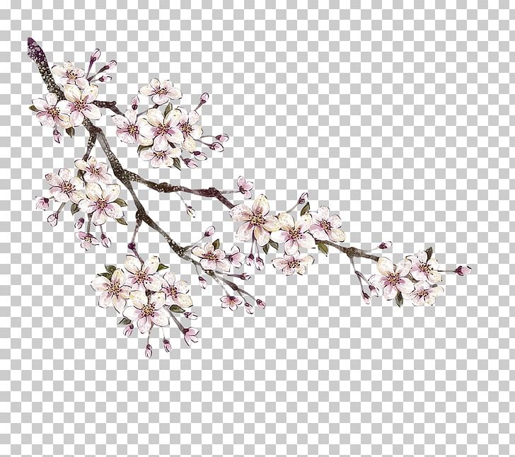 Peach PNG, Clipart, Blossom, Branch, Branches, Cherry Blossom, Download Free PNG Download