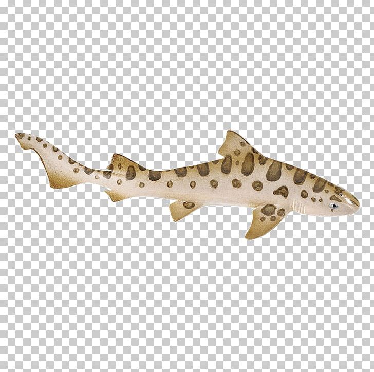 Cartilaginous Fishes Leopard Shark Leopard Shark Safari Ltd PNG, Clipart, Animal Figurine, Animals, Blacktip Reef Shark, Blacktip Shark, Caribbean Reef Shark Free PNG Download
