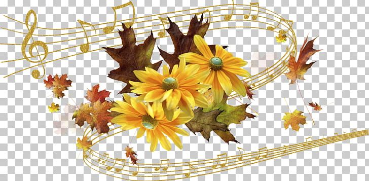 Flower Musical Note Photography PNG, Clipart, Autumn, Chrysanths, Daisy Family, Desktop Wallpaper, Flora Free PNG Download