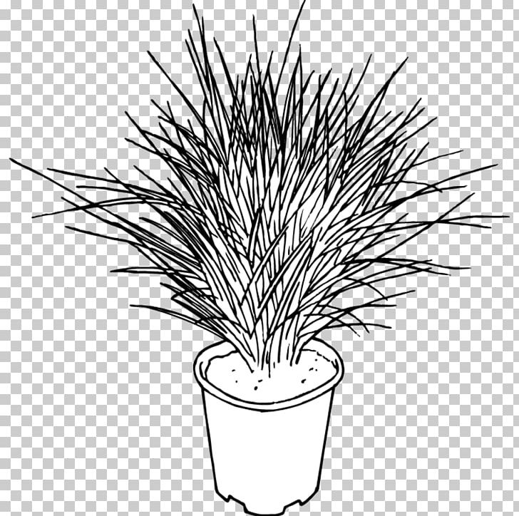 Grasses Line Art Flower PNG, Clipart, Art, Artwork, Black And White, Branch, Branching Free PNG Download