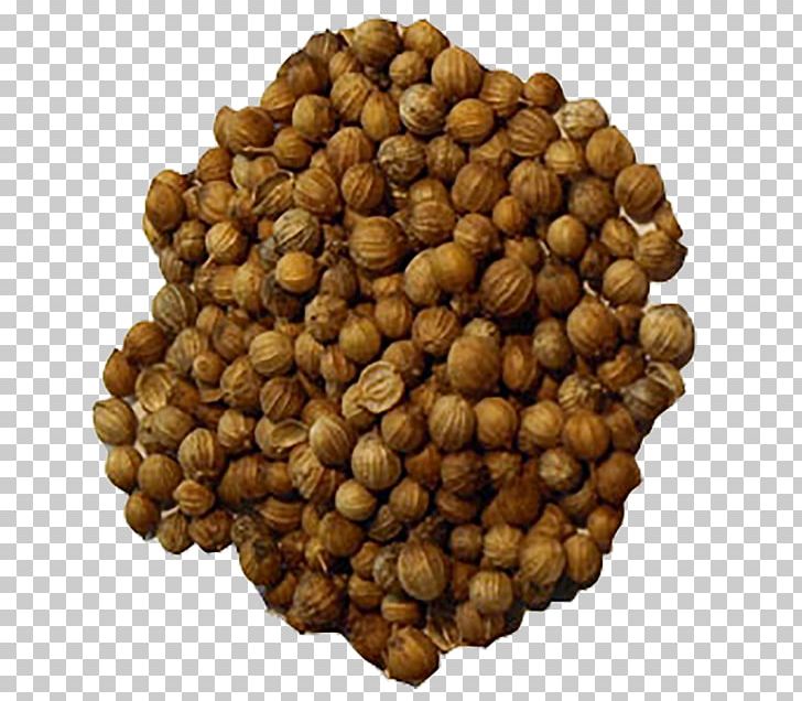 Walnut Vegetarian Cuisine Hazelnut Bean Seed PNG, Clipart, Bean, Commodity, Food, Fruit Nut, Hazelnut Free PNG Download