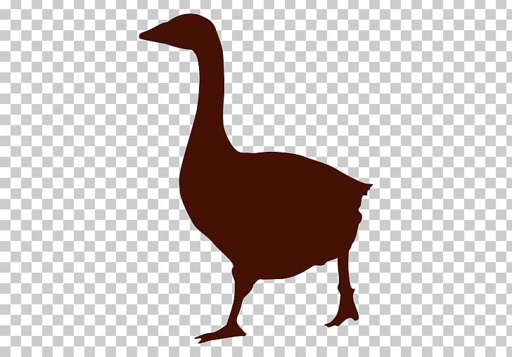 Daisy Duck Goose Silhouette Cygnini PNG, Clipart, Animals, Beak, Bird, Chicken, Cygnini Free PNG Download