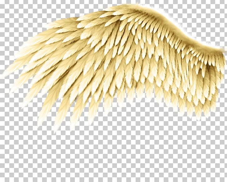Drawing Angel Wing Bird Tattoo PNG, Clipart, Angel, Angel Wing, Animals, Art, Bird Free PNG Download