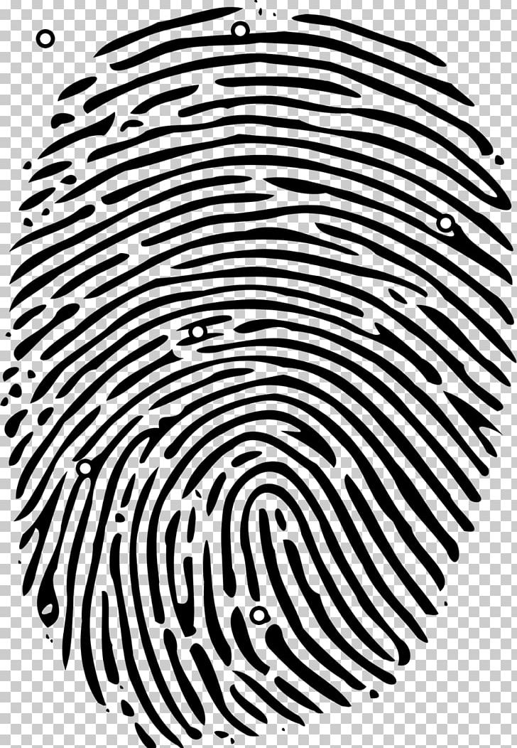 Fingerprint Boone County Public Library PNG, Clipart, Access Control, Area, Bifurcation, Black, Black And White Free PNG Download