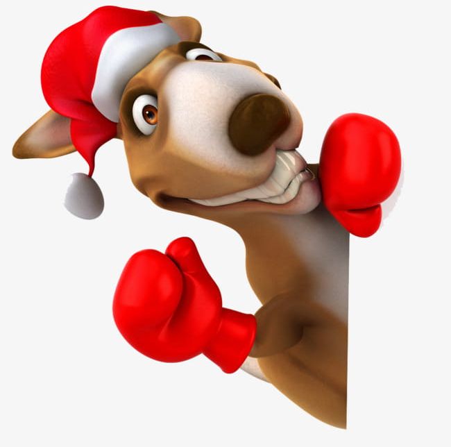 Interesting Kangaroo PNG, Clipart, 3d Animals, Animals, Art, Boxing, Boxing Gloves Free PNG Download