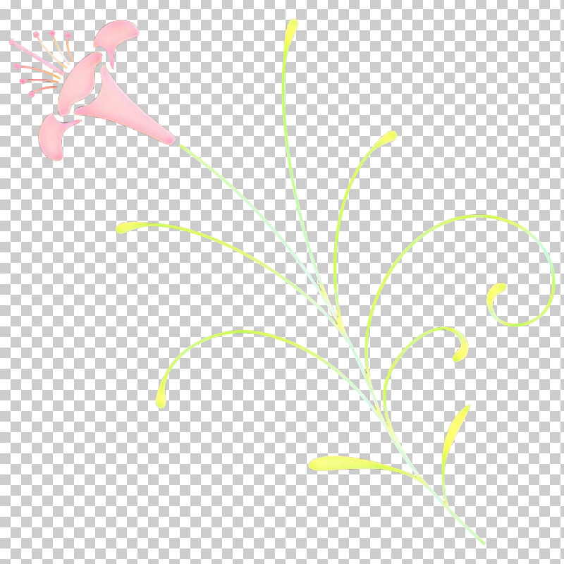 Leaf Plant Pedicel Flower Grass PNG, Clipart, Flower, Grass, Leaf, Pedicel, Plant Free PNG Download