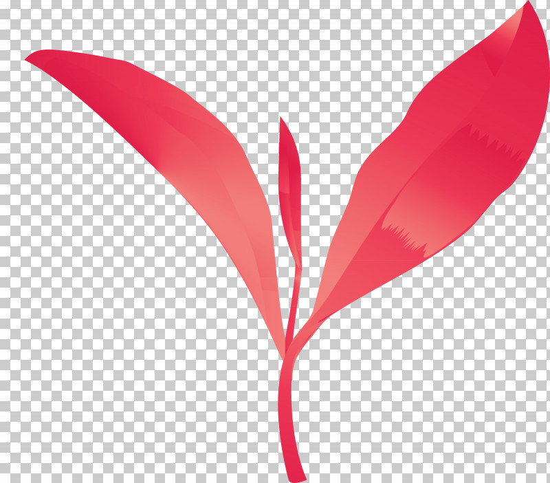 Tea Leaves Leaf Spring PNG, Clipart, Anthurium, Feather, Flower, Leaf, Magenta Free PNG Download