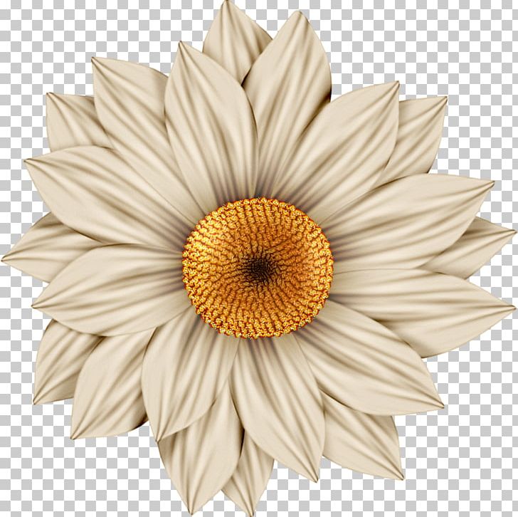 Art Floral Design PNG, Clipart, Art, Clip Art, Collage, Cut Flowers, Daisy Family Free PNG Download