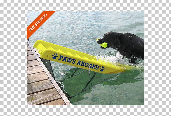 Paws aboard doggy boat ladder best sale and ramp