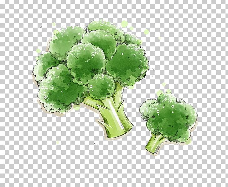 Broccoli Vegetable Food Illustration PNG, Clipart, Brassica Oleracea, Broccoli, Broccoli Vector, Capsicum Annuum, Flat Design Free PNG Download