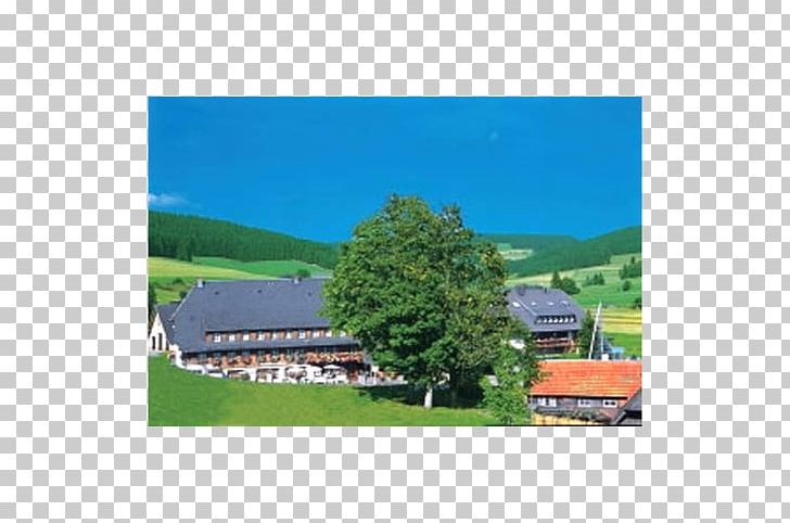 Hinterzarten Breitnau Hotel Hochfirst Garni Guest House PNG, Clipart, Area, Black Forest, Estate, Facade, Farm Free PNG Download