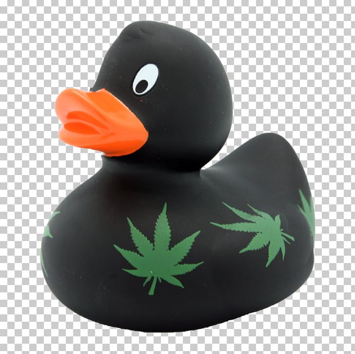 Rubber Duck Bathtub Bathing Toy PNG, Clipart, Animals, Bathing, Bathroom, Bathtub, Beak Free PNG Download