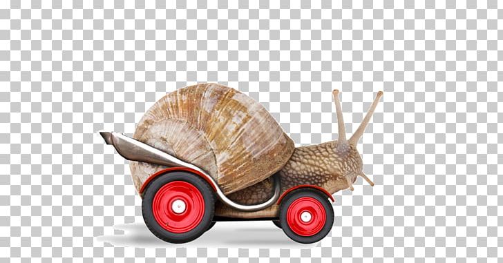 Snail Racing Stock Photography Stock.xchng PNG, Clipart, Animal, Animals, Cart, Cartoon Snail, Cornu Aspersum Free PNG Download