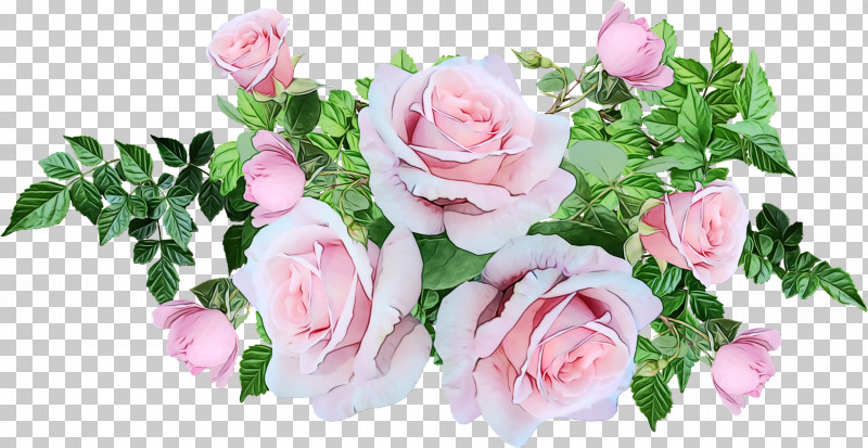 Garden Roses PNG, Clipart, Artificial Flower, Branch, Cabbage Rose, Cut Flowers, Floral Design Free PNG Download