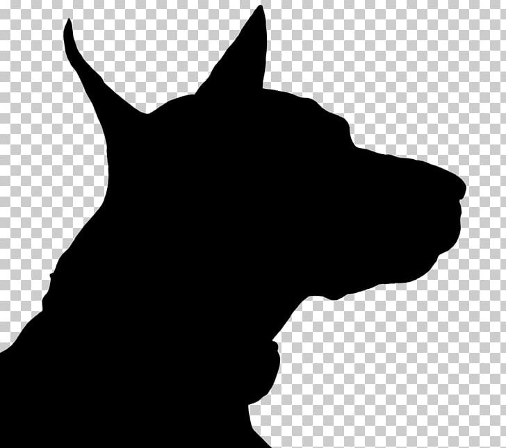 Dobermann Whiskers Silhouette Dog Breed PNG, Clipart, Animals, Black, Black And White, Black Cat, Carnivoran Free PNG Download