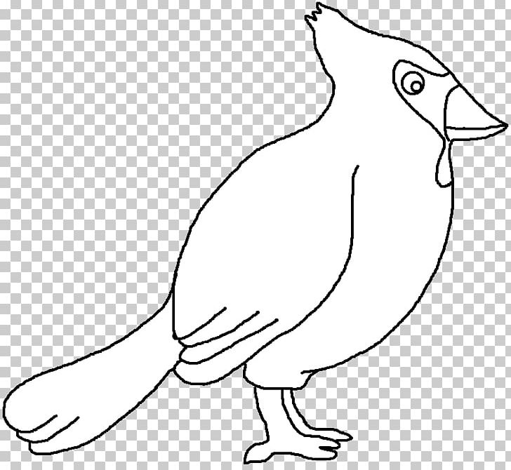 Chicken Cygnini Anatidae Water Bird Goose PNG, Clipart, Anatidae, Animal, Animal Figure, Animals, Artwork Free PNG Download