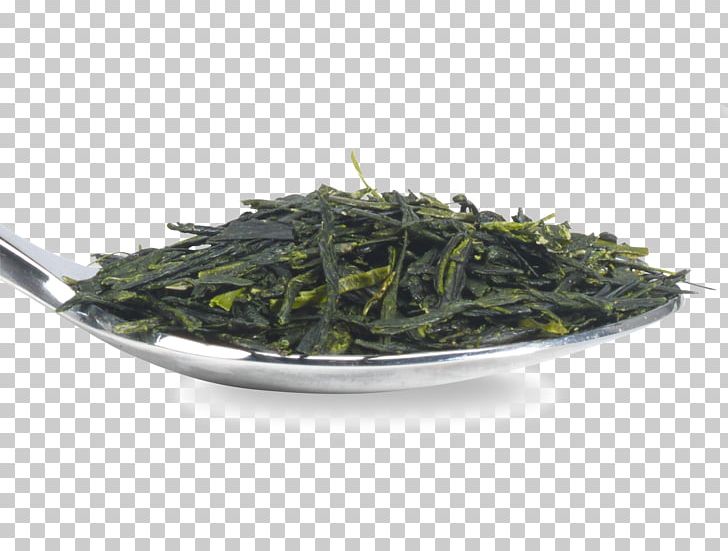 Gyokuro Nilgiri Tea Oolong Hōjicha Bancha PNG, Clipart, Assam Tea, Bai Mudan, Bancha, Biluochun, Ceylon Tea Free PNG Download