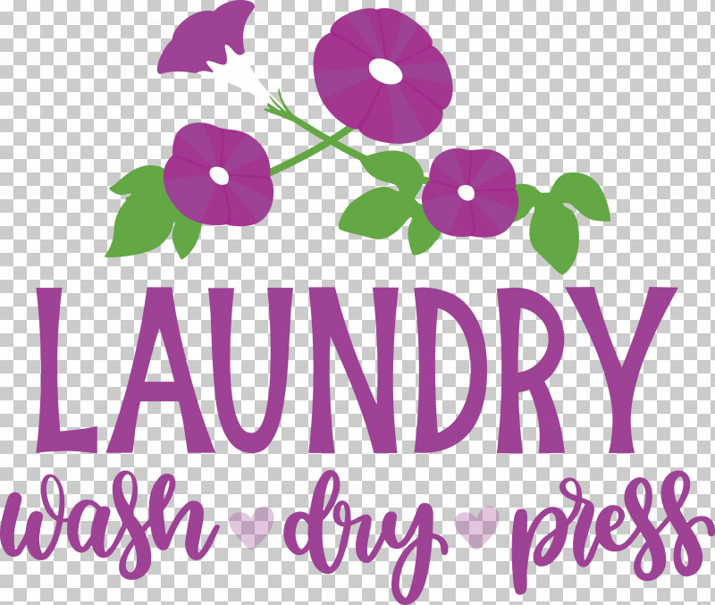 Laundry Wash Dry PNG, Clipart, Dry, Floral Design, Flower, Laundry, Lilac M Free PNG Download