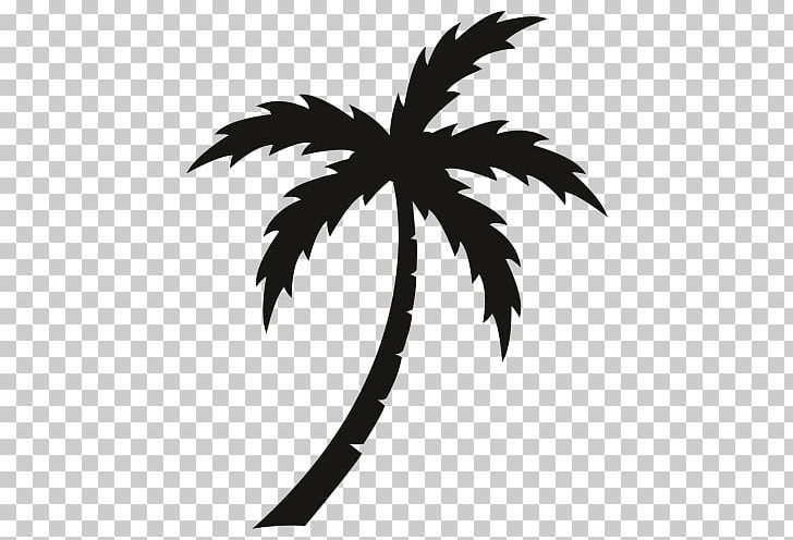 Arecaceae Sticker Wall Decal Vinyl Group PNG, Clipart, Arecaceae, Arecales, Art, Black, Black And White Free PNG Download