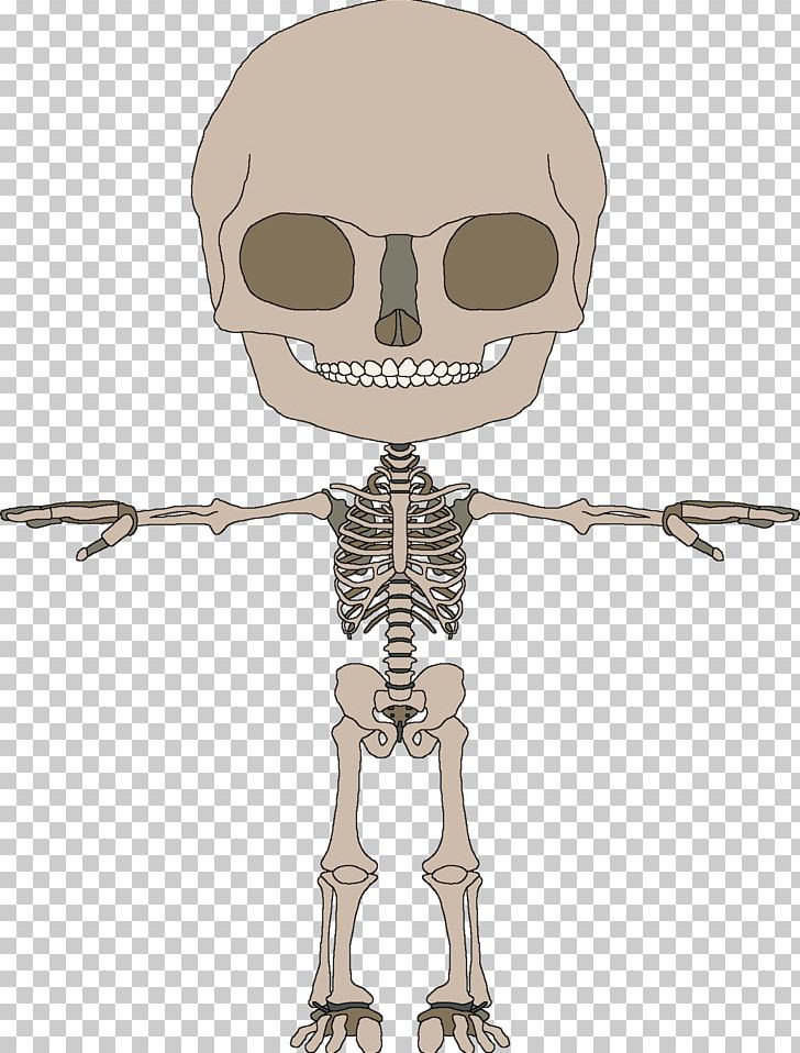Bone Human Skeleton Homo Sapiens Muscle PNG, Clipart, Arm, Bone, Cartoon, Character, Fantasy Free PNG Download