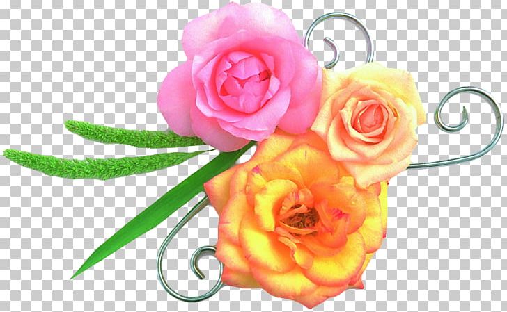 Flower Garden Roses News Child God PNG, Clipart, Artificial Flower, Child, College, Cut Flowers, Family Free PNG Download