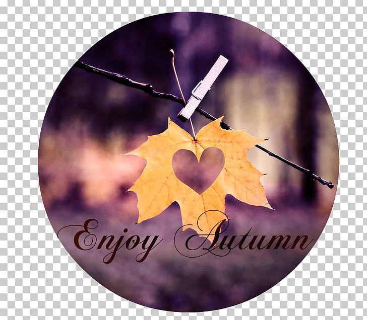 Autumn Leaf Color Heart Love PNG, Clipart, Autumn, Autumn Leaf Color, Color, Gift, Golden Autumn Indulgence Free PNG Download