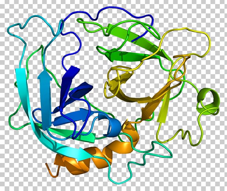 CMA1 Dipeptidyl Peptidase-4 Gene Chymase Chromosome 14 PNG, Clipart, Angiotensin I, Area, Artwork, Cd117, Cell Free PNG Download