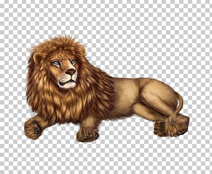 Lion Roar Big Cat Terrestrial Animal PNG, Clipart, Animal, Animal Figure, Big Cat, Big Cats, Carnivoran Free PNG Download