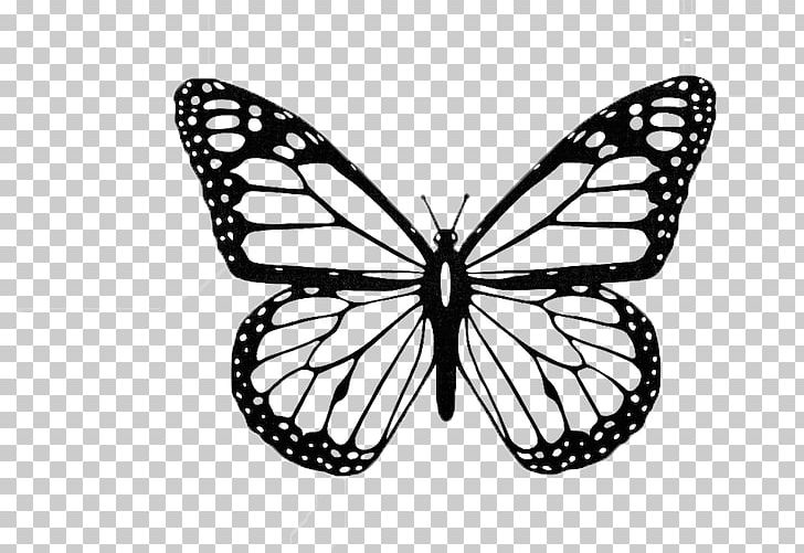Monarch Butterfly Black And White Insect PNG, Clipart, Arthropod, Black And White, Brush Footed Butterfly, Butterflies And Moths, Butterfly Free PNG Download