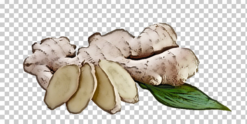 Tuber Ingredient Fruit PNG, Clipart, Fruit, Ingredient, Tuber Free PNG Download