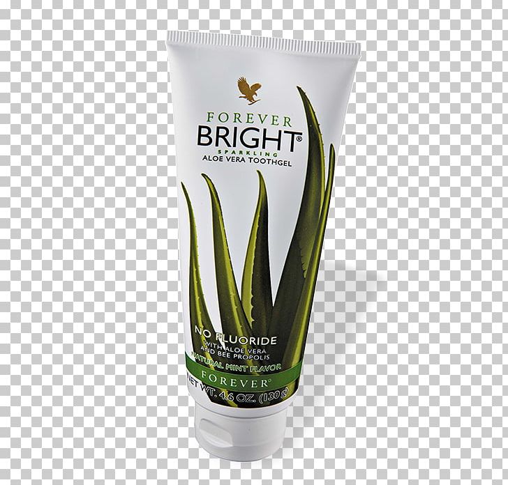 Aloe Vera Forever Living Products Gel Human Tooth PNG, Clipart, Aloe, Aloe Vera, Cream, Deodorant, Distributor Free PNG Download