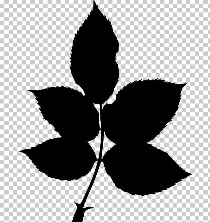 Autumn Leaf Color Silhouette Plant Stem PNG, Clipart, Autumn, Autumn Leaf Color, Black And White, Branch, Drawing Free PNG Download