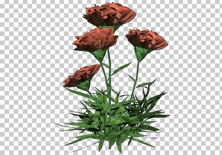 Carnation Cut Flowers Dianthus Plant Computer Software PNG, Clipart, 3d Modeling, Architectural Engineering, Building Information Modeling, Carnation, Computer Software Free PNG Download