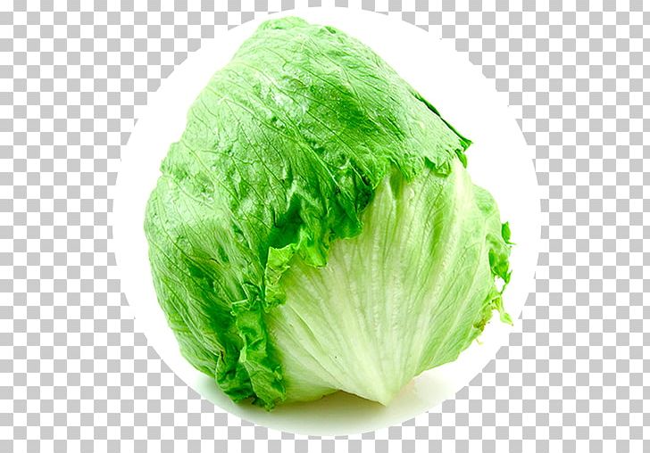 Iceberg Lettuce Vegetable Caesar Salad Food PNG, Clipart, Cabbage, Caesar Salad, Capitata Group, Celery, Cruciferous Vegetables Free PNG Download