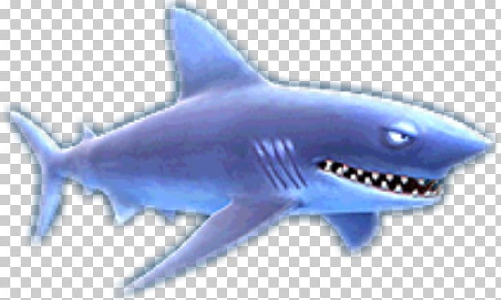 Shark Jaws Hungry Shark Evolution Isurus Oxyrinchus Longfin Mako Shark PNG, Clipart, Android, Animals, Carcharhiniformes, Cartilaginous Fish, Electric Blue Free PNG Download