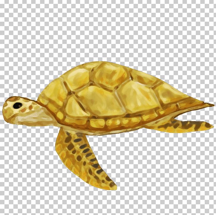 Box Turtles Sea Turtle Tortoise PNG, Clipart, Animal, Animals, Box Turtle, Box Turtles, Carapace Free PNG Download