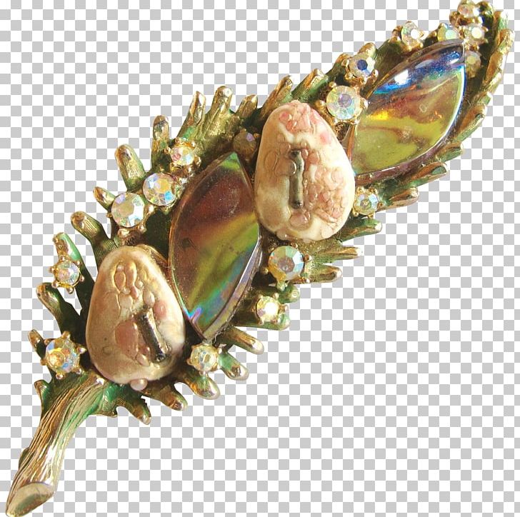 Brooch Gemstone PNG, Clipart, Brooch, Gemstone, Jewellery, Nature Free PNG Download