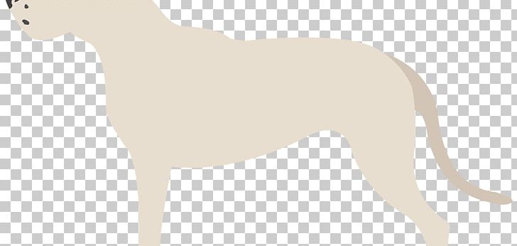 Dog Breed Italian Greyhound Whippet Non-sporting Group PNG, Clipart, 08626, Big Cat, Big Cats, Breed, Carnivoran Free PNG Download