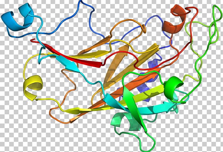 Line Organism Point PNG, Clipart, Area, Art, Artwork, Line, Methylmalonylcoa Mutase Free PNG Download