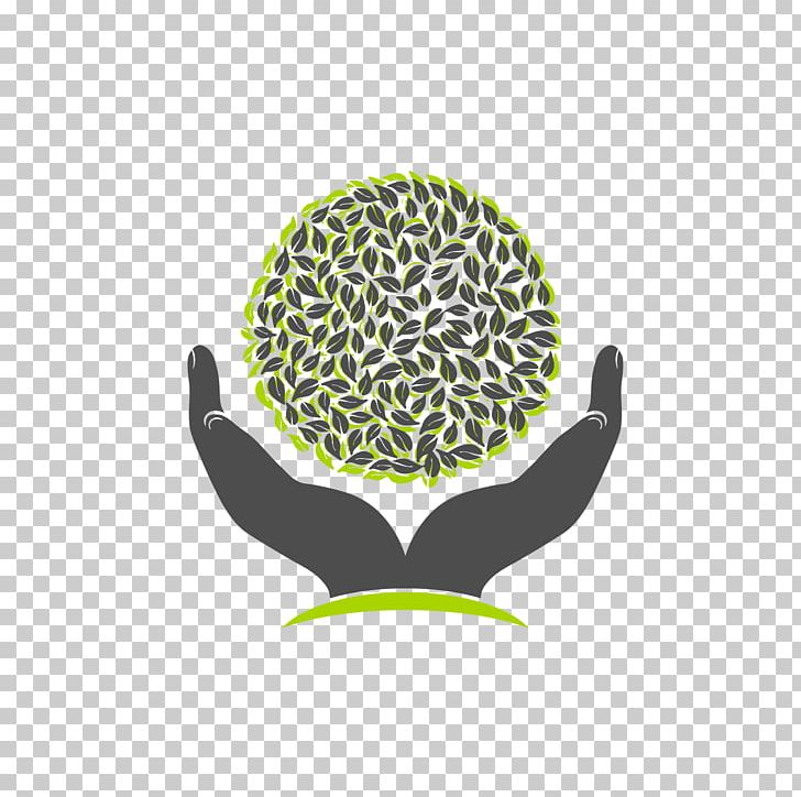 Tree Logo PNG, Clipart, Brand, Circle, Computer Icons, Desktop Wallpaper, Green Free PNG Download