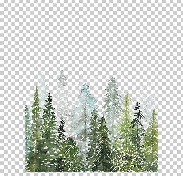 Watercolor Painting Printmaking Printing Drawing PNG, Clipart, Branch, Cartoon, Conifer, Conifer Cone, Evergreen Free PNG Download