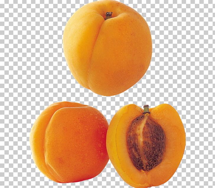 Apricot Fruit Longevity Peach Saturn Peach PNG, Clipart, Apricot, Auglis, Diospyros, Download, Food Free PNG Download