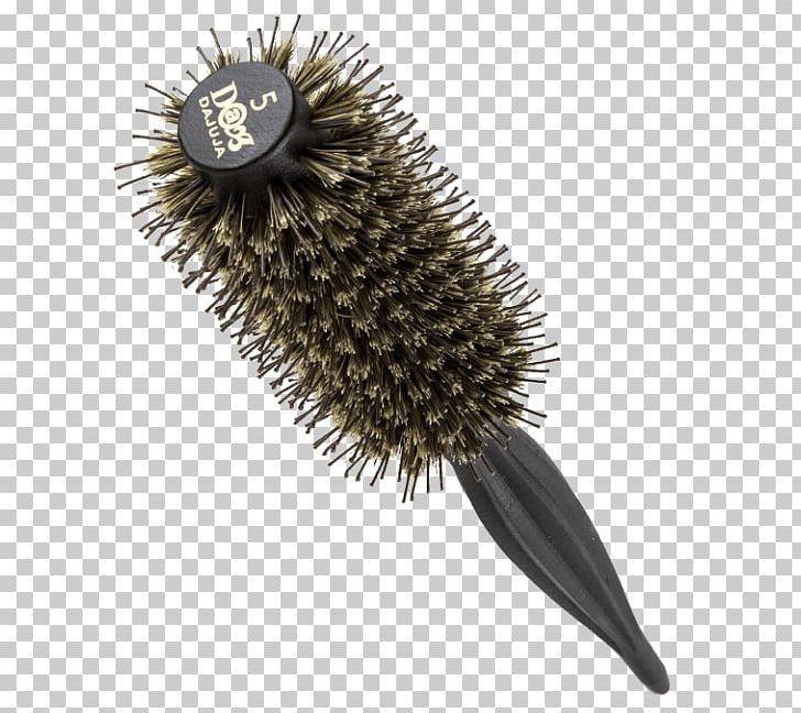 Brush Comb Bristle Wild Boar Beauty PNG, Clipart, Antique, Beauty, Bristle, Brush, Comb Free PNG Download