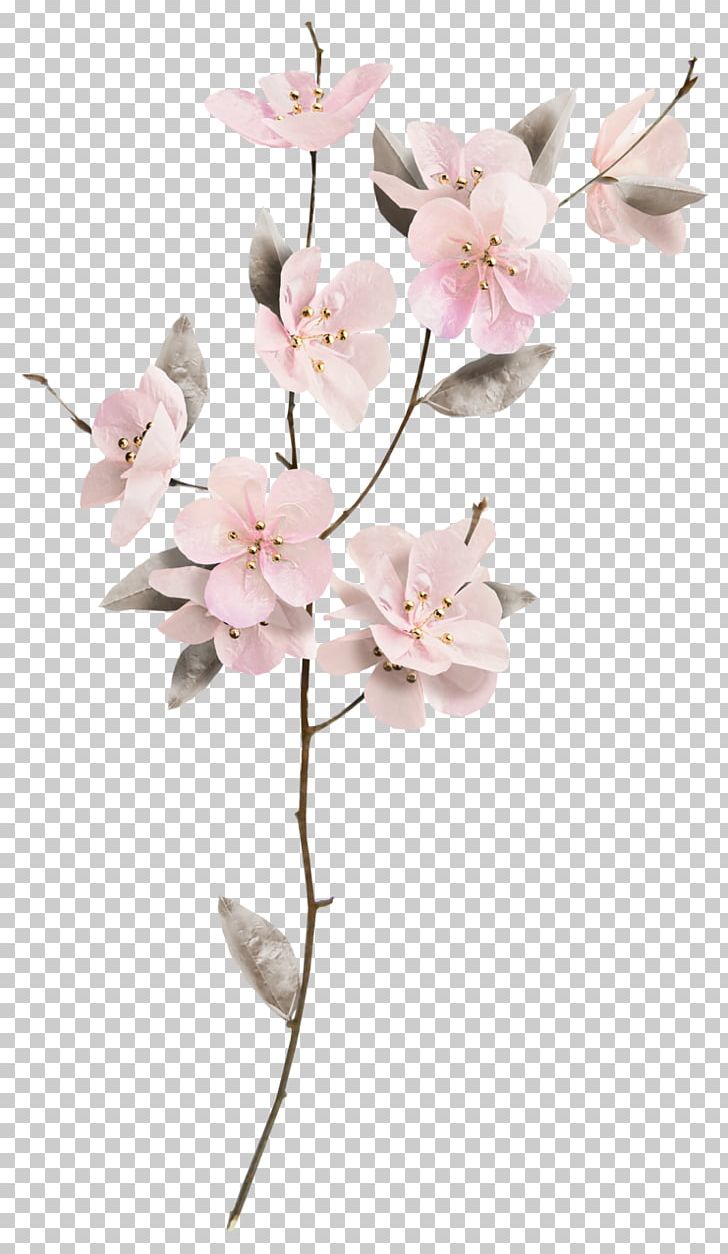 Cut Flowers Floral Design Floristry PNG, Clipart, Art, Blossom, Branch, Cherry Blossom, Cut Flowers Free PNG Download