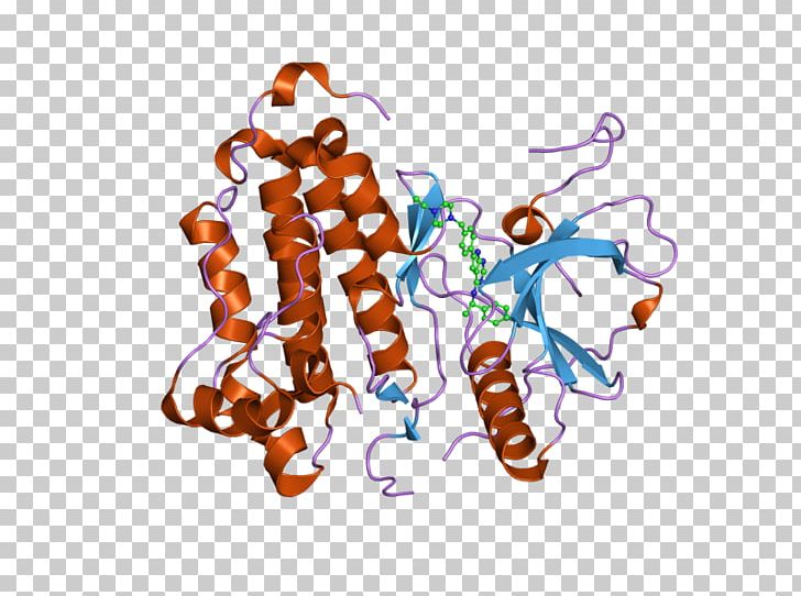 Epidermal Growth Factor Receptor Receptor Tyrosine Kinase PNG, Clipart, Aee, Cell, Cell Biology, Cell Surface Receptor, Complex Free PNG Download